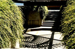 Göttingen